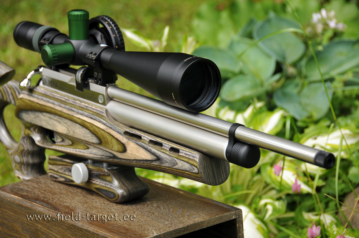 Daystate Mk4 Platinum view